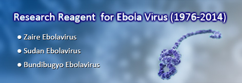 ebola-virus