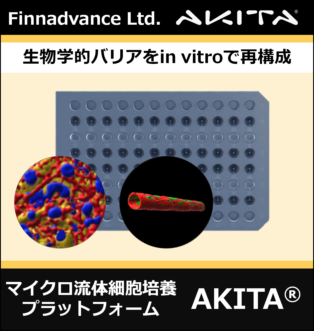 Finnadvance Ltd. – AKITA®